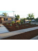 Clairemont 28