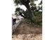 Serra Mesa 04