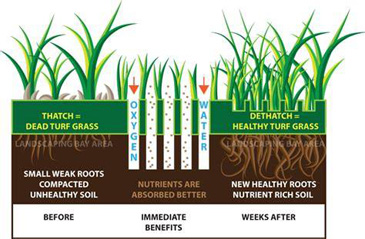 Aeration