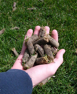 Aeration