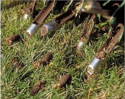 Aeration